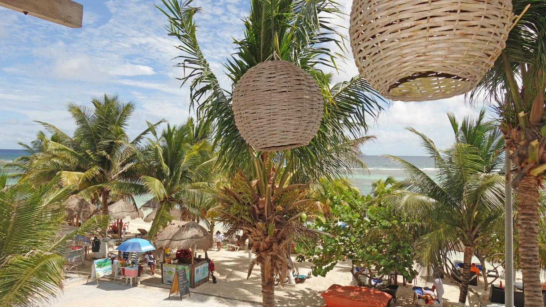 El Fuerte Beach Apartments Махахуал Стая снимка