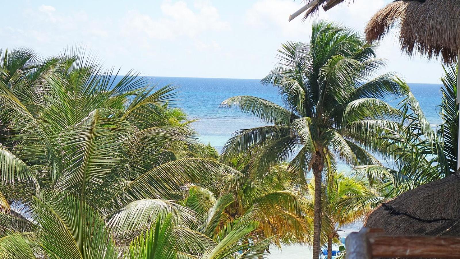 El Fuerte Beach Apartments Махахуал Стая снимка